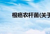 根癌农杆菌(关于根癌农杆菌的简介)
