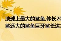 地球上最大的鲨鱼,体长20米重60吨,专吃鲸鱼为生（比巨齿鲨还大的鲨鱼巨牙鲨长达20多米(以鲸鱼为食)）
