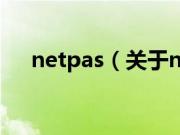 netpas（关于netpas的基本详情介绍）