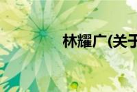 林耀广(关于林耀广的简介)