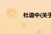杜道中(关于杜道中的简介)