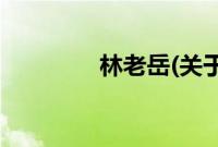 林老岳(关于林老岳的简介)