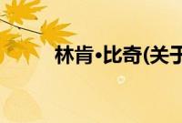 林肯·比奇(关于林肯·比奇的简介)