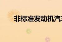 非标准发动机汽车的卖家有什么风险
