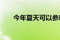 今年夏天可以参观的大型汽车博物馆