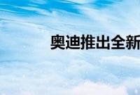奥迪推出全新大型SUV奥迪Q6