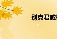 别克君威标准功能如何