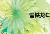 雪铁龙C5性能怎么样