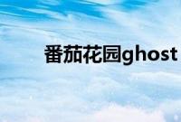 番茄花园ghost（xp光盘怎么安装）