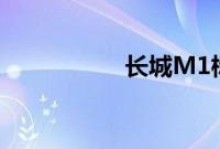 长城M1标准功能如何