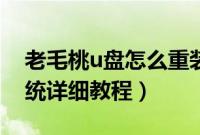 老毛桃u盘怎么重装系统（老毛桃u盘重装系统详细教程）
