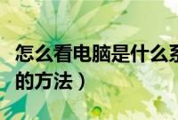怎么看电脑是什么系统（查看操作系统版本号的方法）