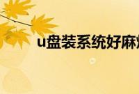 u盘装系统好麻烦（怎么硬盘安装）