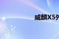 威麟X5外观方面展示