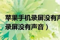 苹果手机录屏没有声音可以补救吗（苹果手机录屏没有声音）