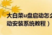 大白菜u盘启动怎么重装系统（大白菜u盘启动安装系统教程）
