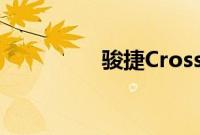 骏捷Cross标准功能如何