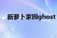 新萝卜家园ghost(win7系统怎么安装)