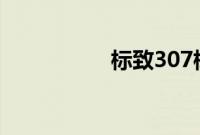 标致307标准功能如何