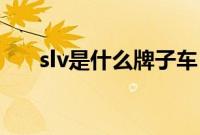 slv是什么牌子车（v是什么牌子车？）