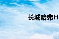 长城哈弗H3标准功能如何