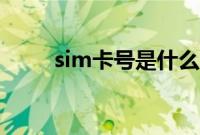 sim卡号是什么（sim卡号是什么）