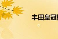 丰田皇冠标准功能如何