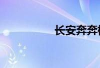 长安奔奔标准功能如何