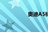 奥迪A5标准功能如何