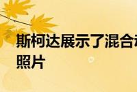 斯柯达展示了混合动力Octavia RS的第一张照片