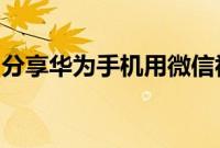 分享华为手机用微信视频聊天打开美颜的方法