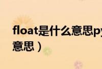 float是什么意思python语言（float是什么意思）