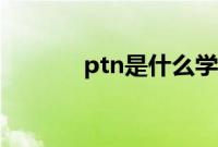ptn是什么学校（ptn是什么）
