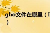 gho文件在哪里（ISO镜像中的gho文件在哪）