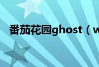 番茄花园ghost（win8.1怎么用U盘安装）