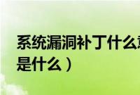 系统漏洞补丁什么意思（windows系统补丁是什么）