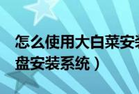 怎么使用大白菜安装系统（如何使用大白菜u盘安装系统）