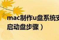 mac制作u盘系统安装盘（mac系统制作u盘启动盘步骤）