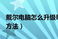 戴尔电脑怎么升级BIOS（dell升级主板BIOS方法）