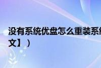 没有系统优盘怎么重装系统（没有系统盘怎么重装系统【图文】）