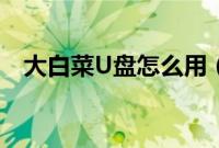大白菜U盘怎么用（大白菜U盘使用方法）