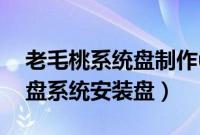 老毛桃系统盘制作u盘（怎么用老毛桃制作u盘系统安装盘）