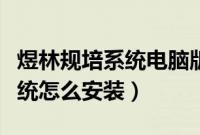 煜林规培系统电脑版下载（在电脑上下载的系统怎么安装）