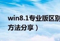 win8.1专业版区别（win8.1专业版u盘安装方法分享）