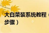 大白菜装系统教程（大白菜怎么安装系统详细步骤）