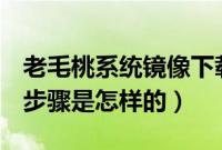 老毛桃系统镜像下载（老毛桃u盘开机装系统步骤是怎样的）