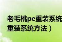 老毛桃pe重装系统怎么操作（通过老毛桃pe重装系统方法）