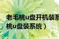老毛桃u盘开机装系统方法（开机怎么用老毛桃u盘装系统）
