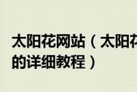 太阳花网站（太阳花浏览器设置为默认浏览器的详细教程）