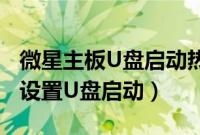 微星主板U盘启动热键是什么（微星主板怎么设置U盘启动）